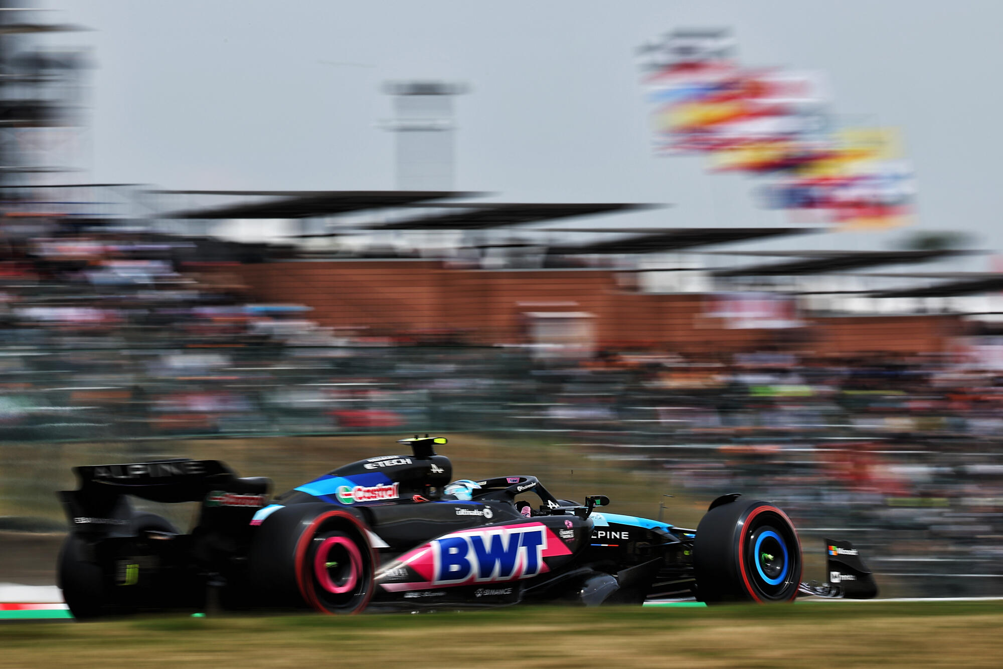 Gasly japan