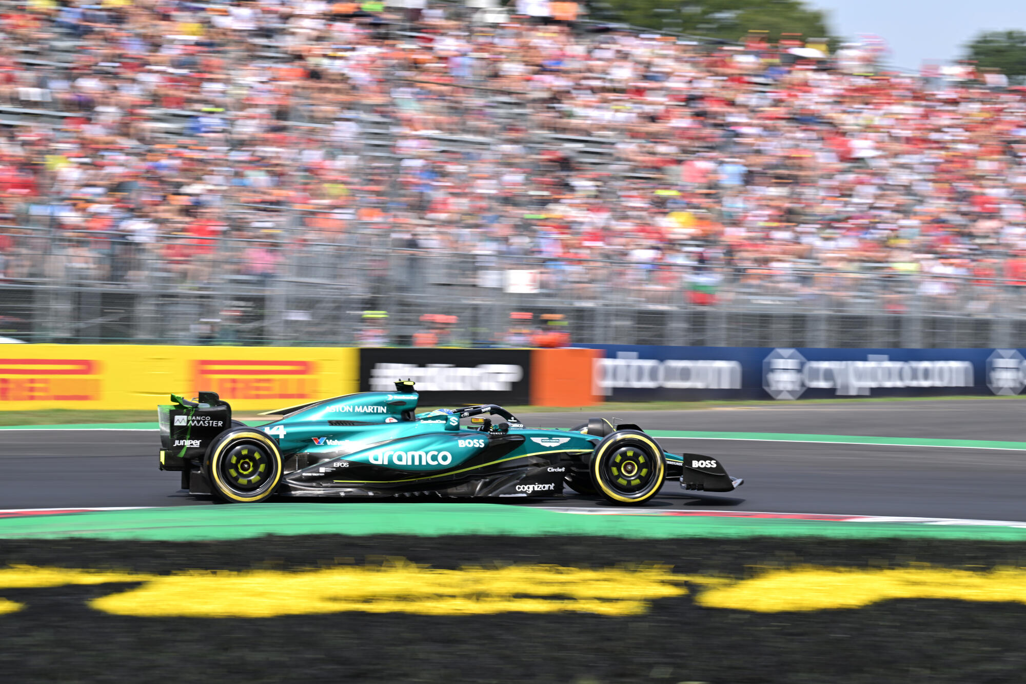 Alonso Monza 2024