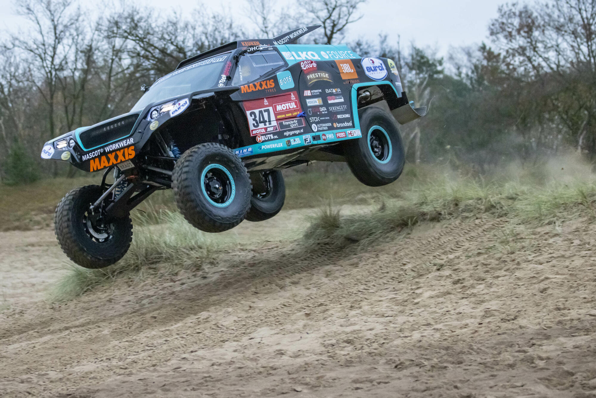Beast-Tim-en-Tom-Coronel